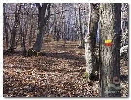 Monterosso Grana – Podio sottano